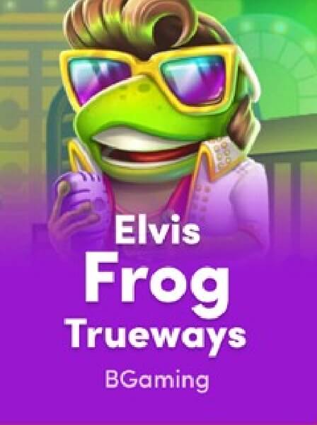 BaccaratLive Hub: Ultimate Beginner’s Guide to Live Baccarat