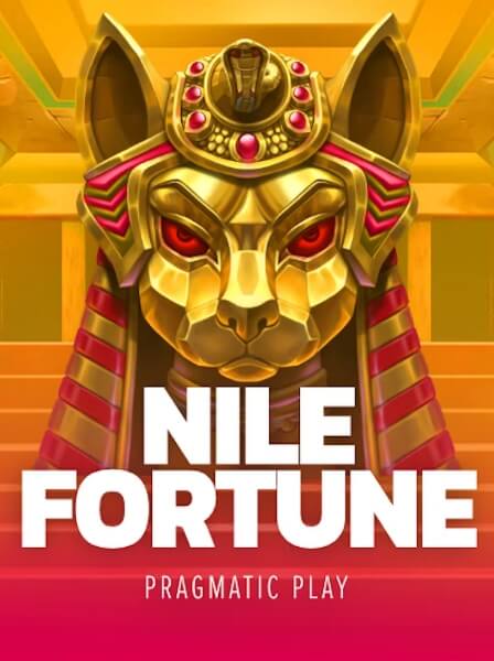 LiveBet Casino: Where Every Bet Is a Live Adventure